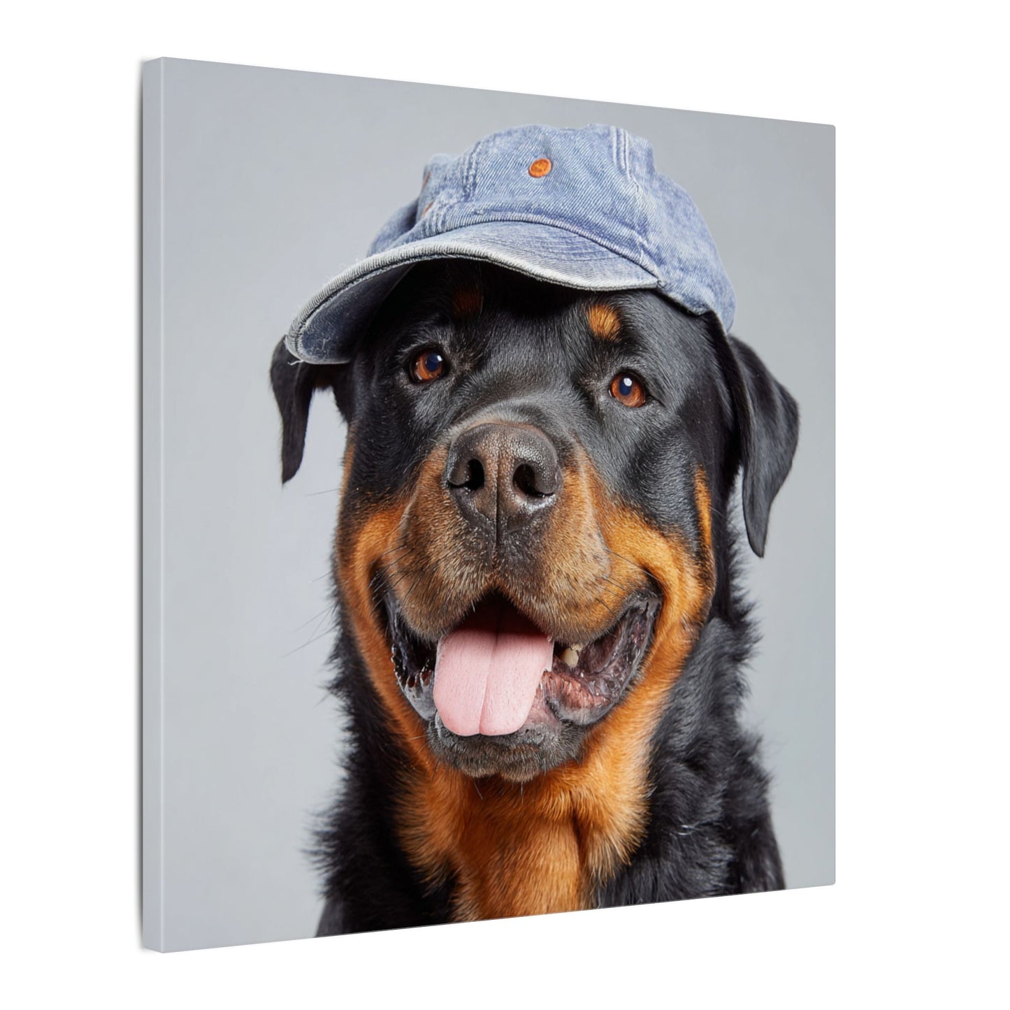 Whimsical Rottweiler Art - Denim Hat Dog Portrait