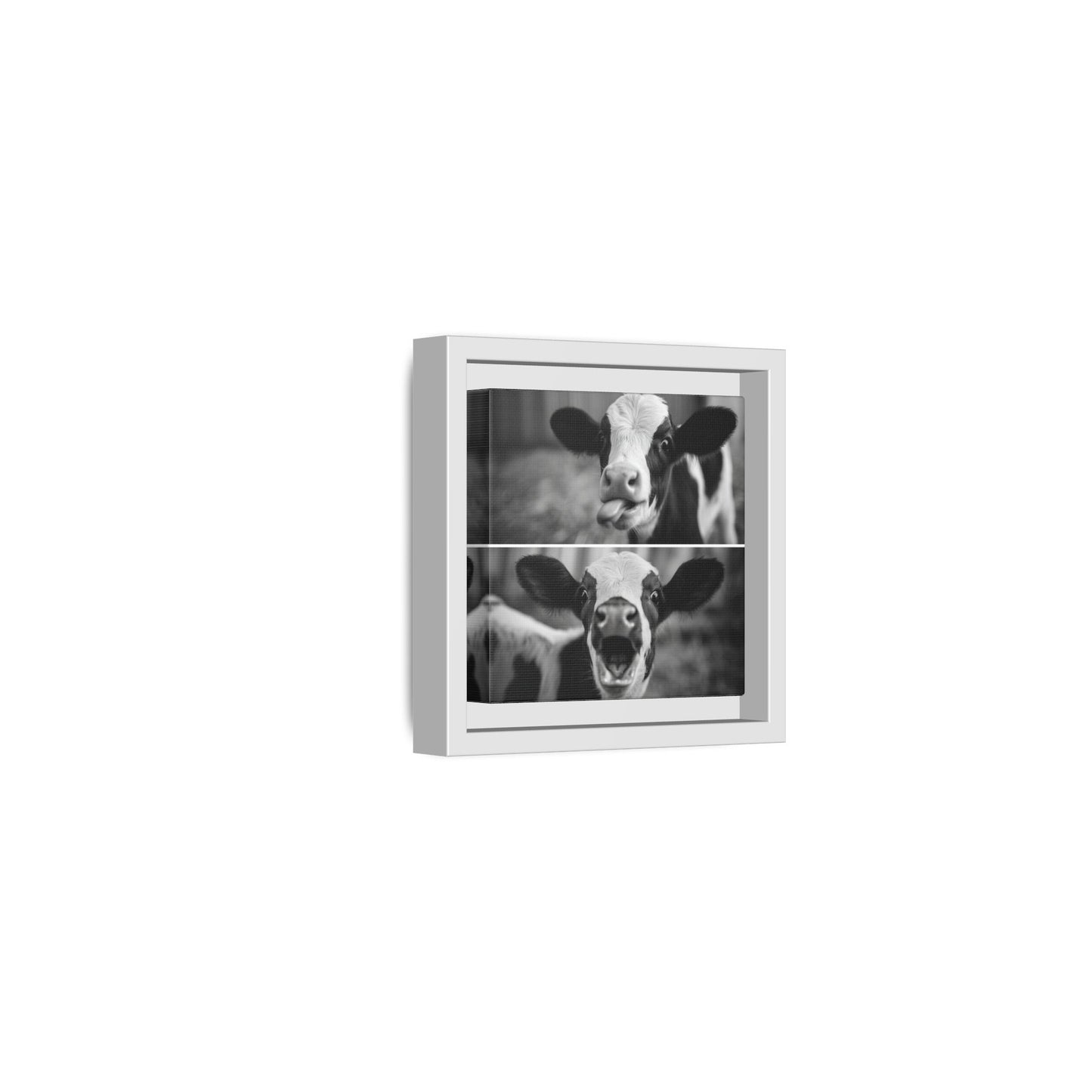 Whimsical Cow Photography | Black and White Animal Art