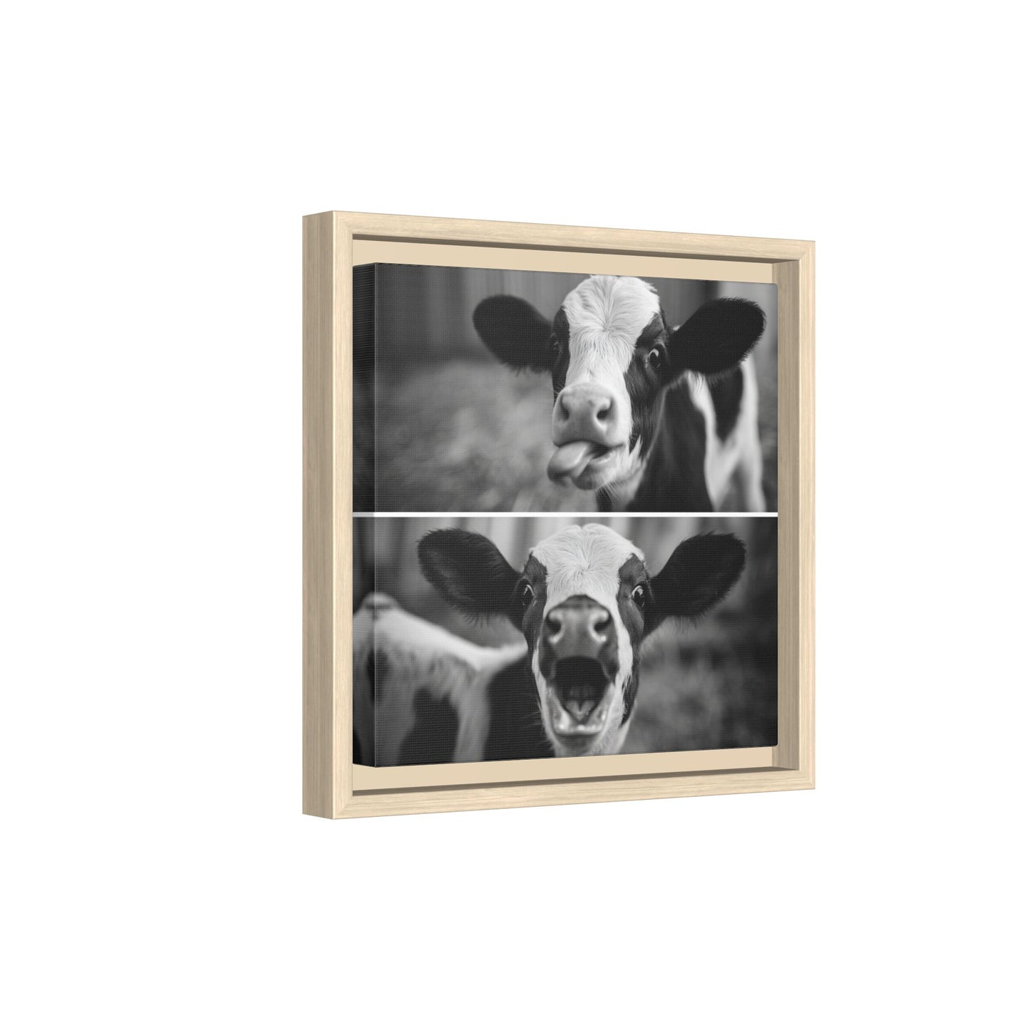 Whimsical Cow Photography | Black and White Animal Art