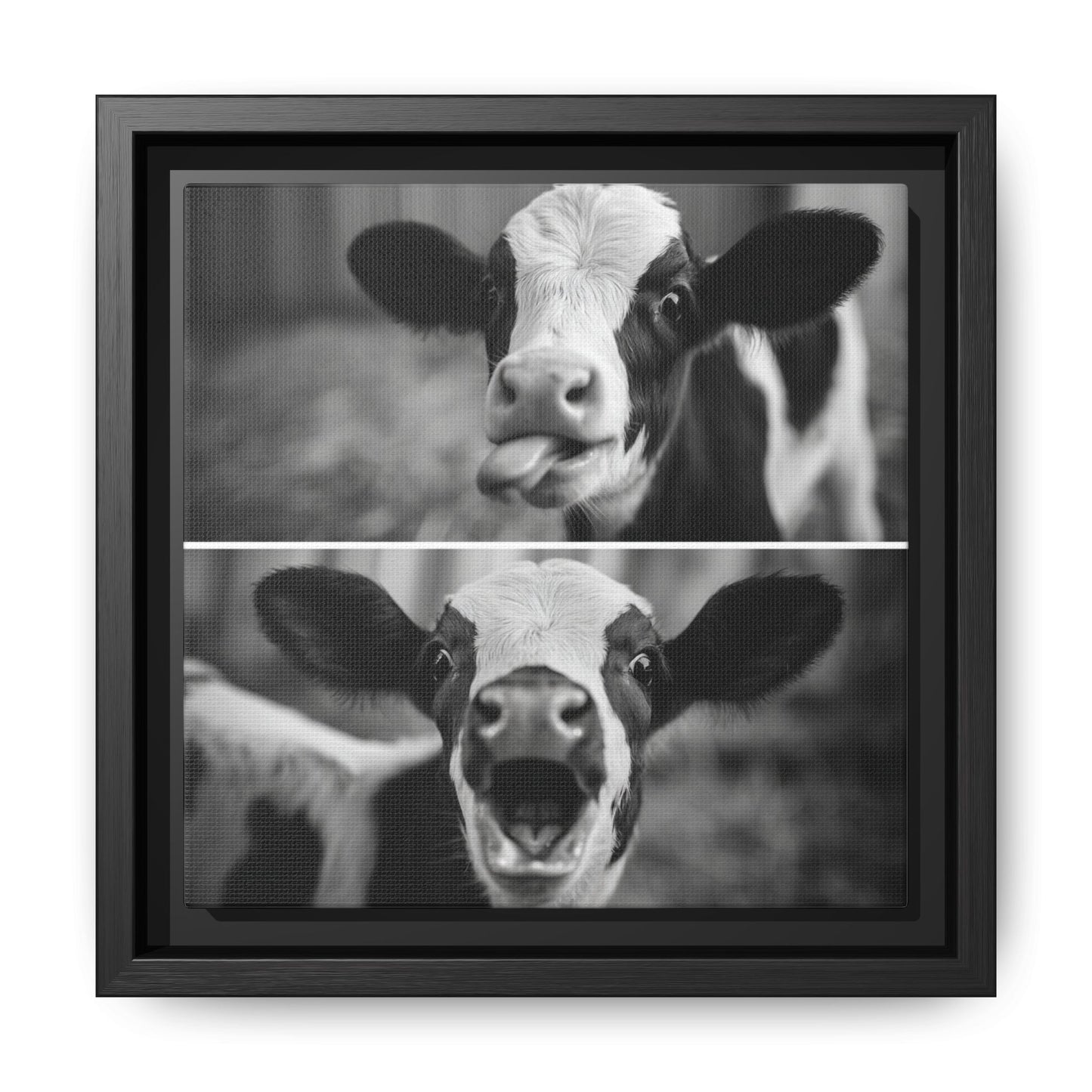 Whimsical Cow Photography | Black and White Animal Art