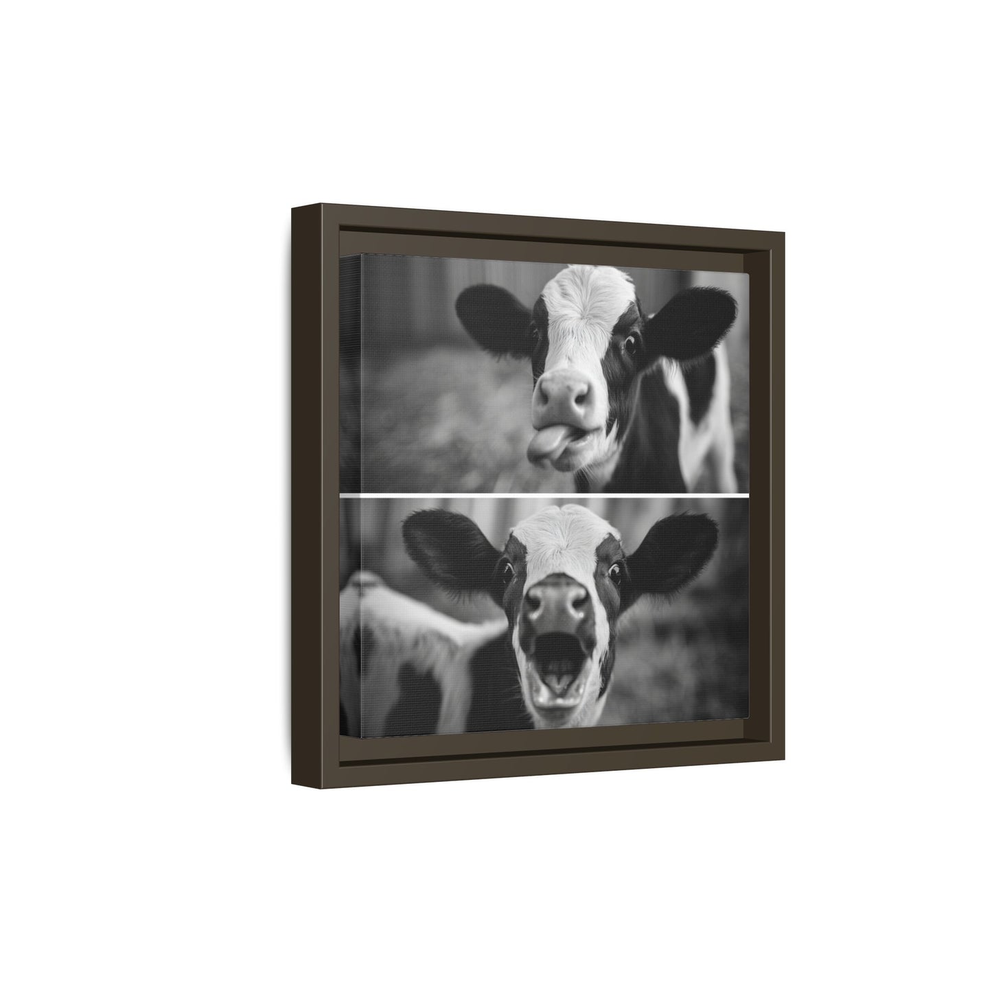 Whimsical Cow Photography | Black and White Animal Art