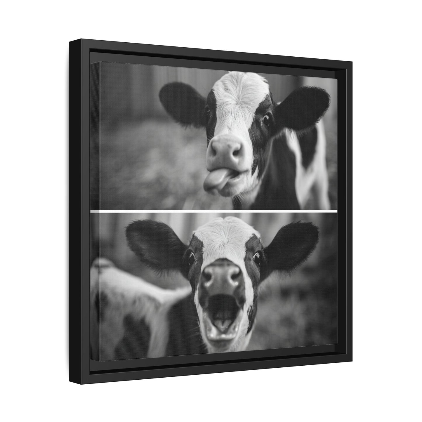 Whimsical Cow Photography | Black and White Animal Art