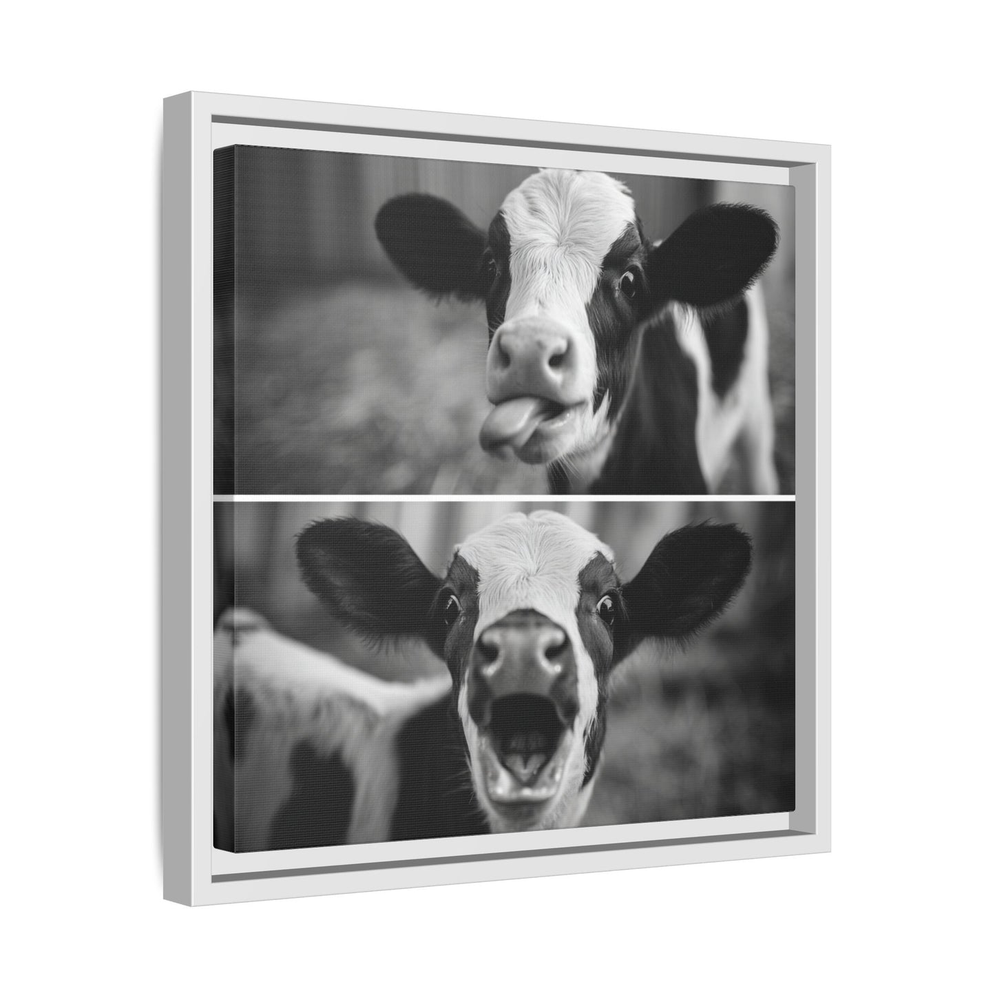 Whimsical Cow Photography | Black and White Animal Art