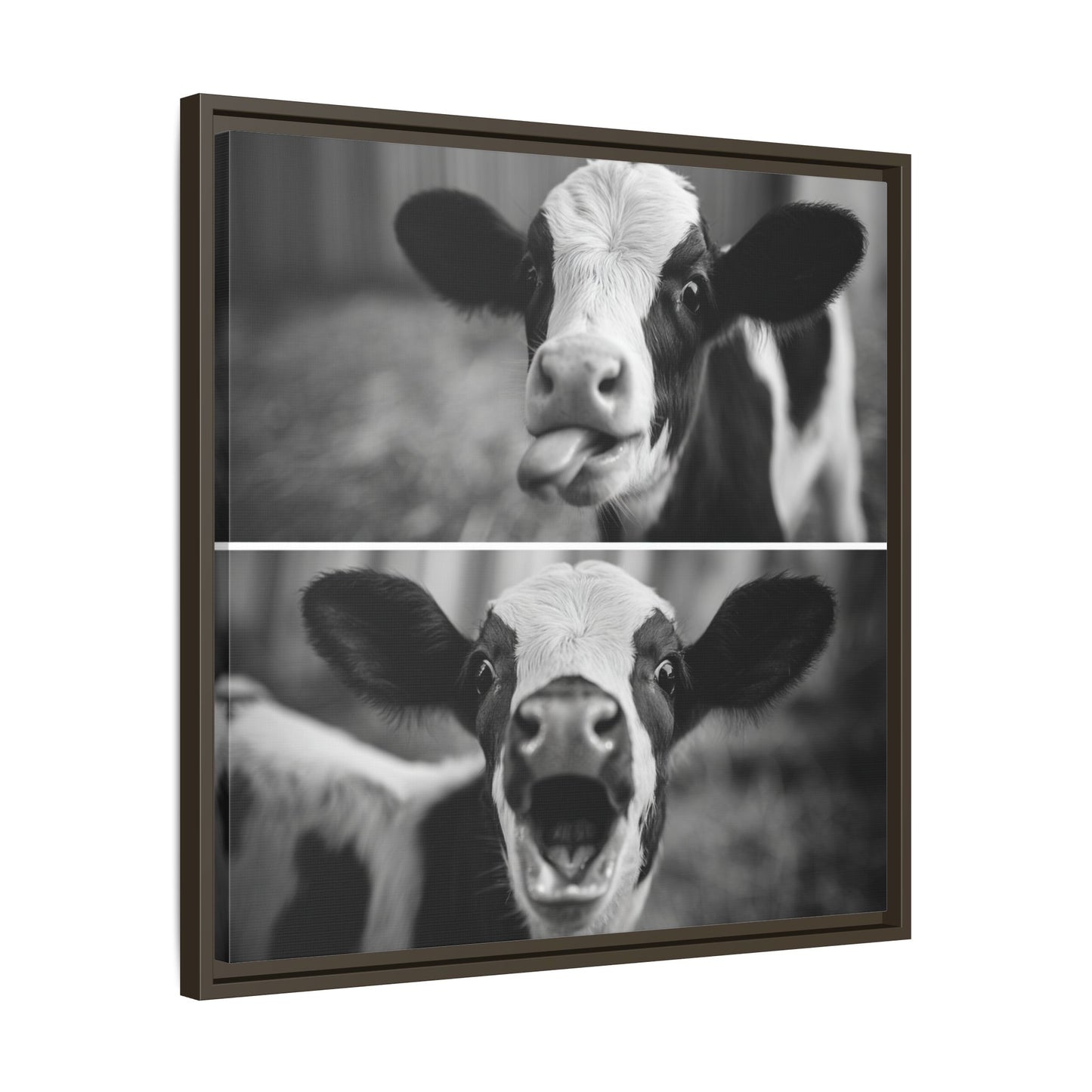 Whimsical Cow Photography | Black and White Animal Art