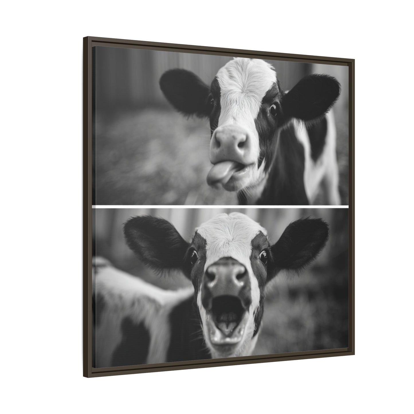 Whimsical Cow Photography | Black and White Animal Art