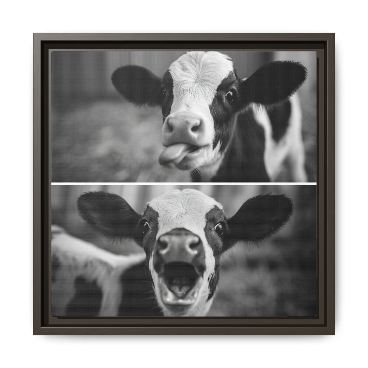 Whimsical Cow Photography | Black and White Animal Art