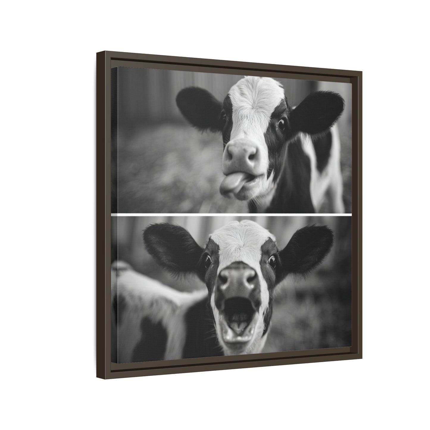 Whimsical Cow Photography | Black and White Animal Art