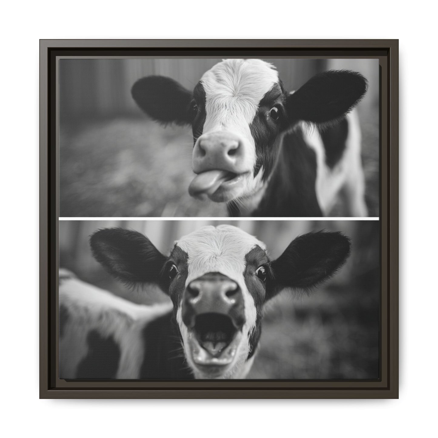 Whimsical Cow Photography | Black and White Animal Art