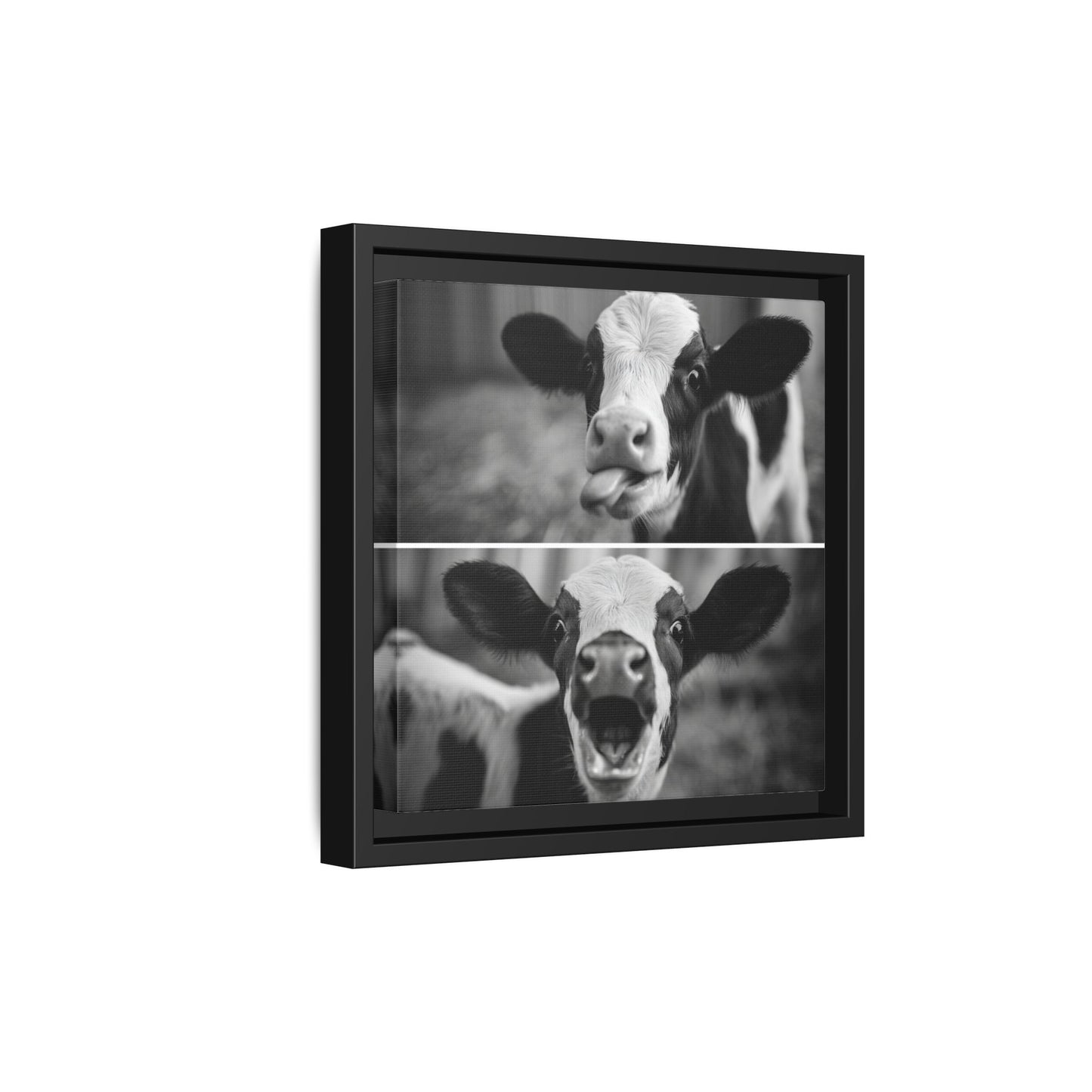 Whimsical Cow Photography | Black and White Animal Art