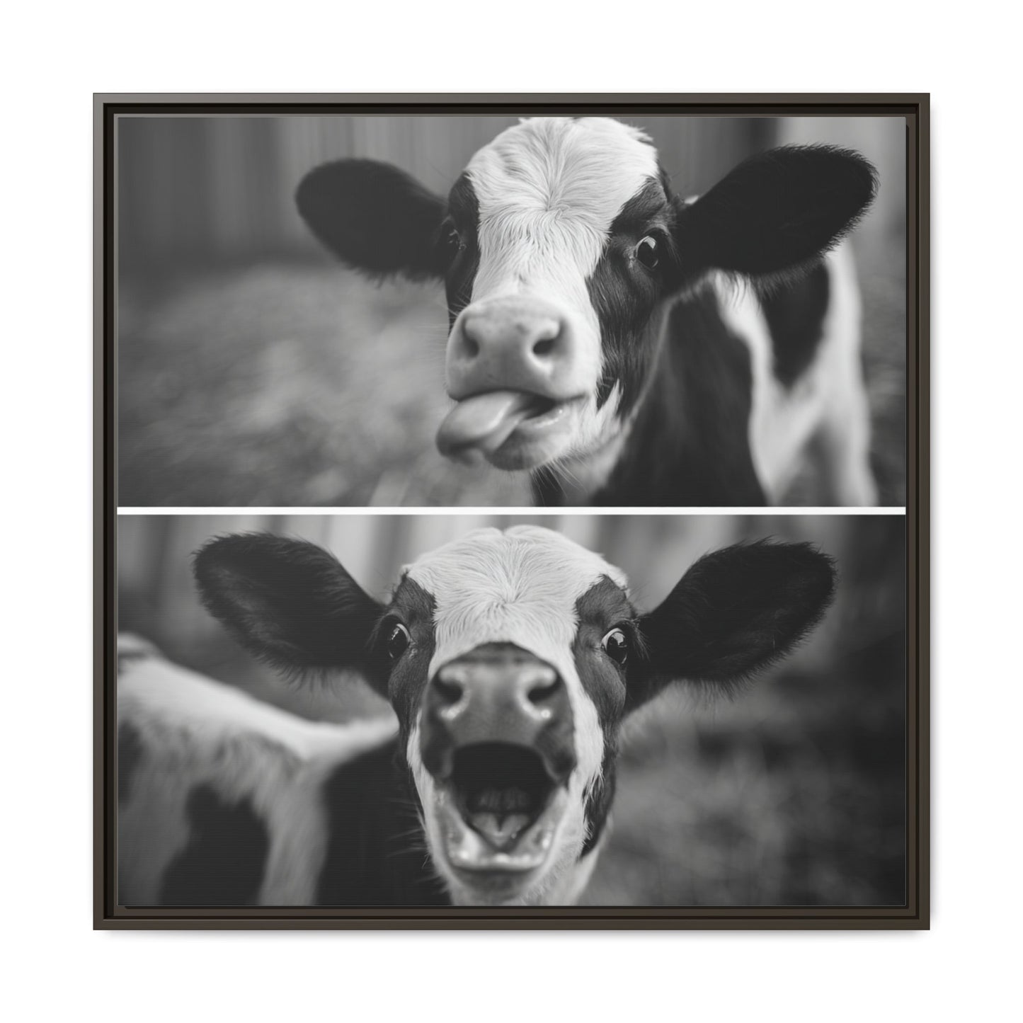 Whimsical Cow Photography | Black and White Animal Art