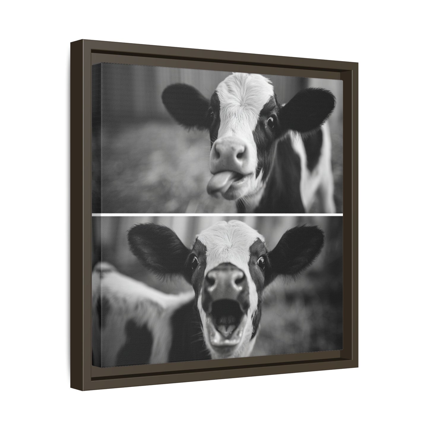 Whimsical Cow Photography | Black and White Animal Art