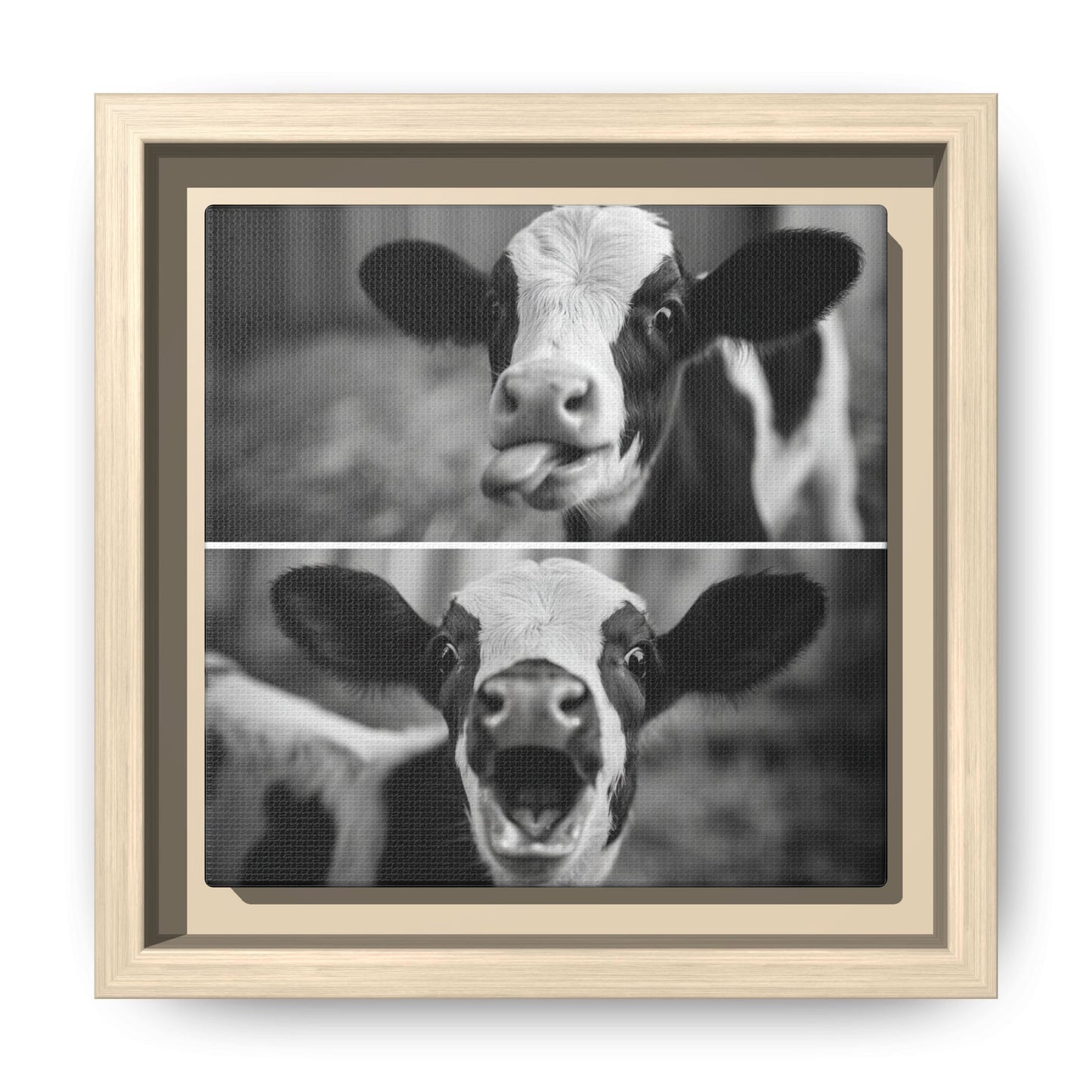 Whimsical Cow Photography | Black and White Animal Art