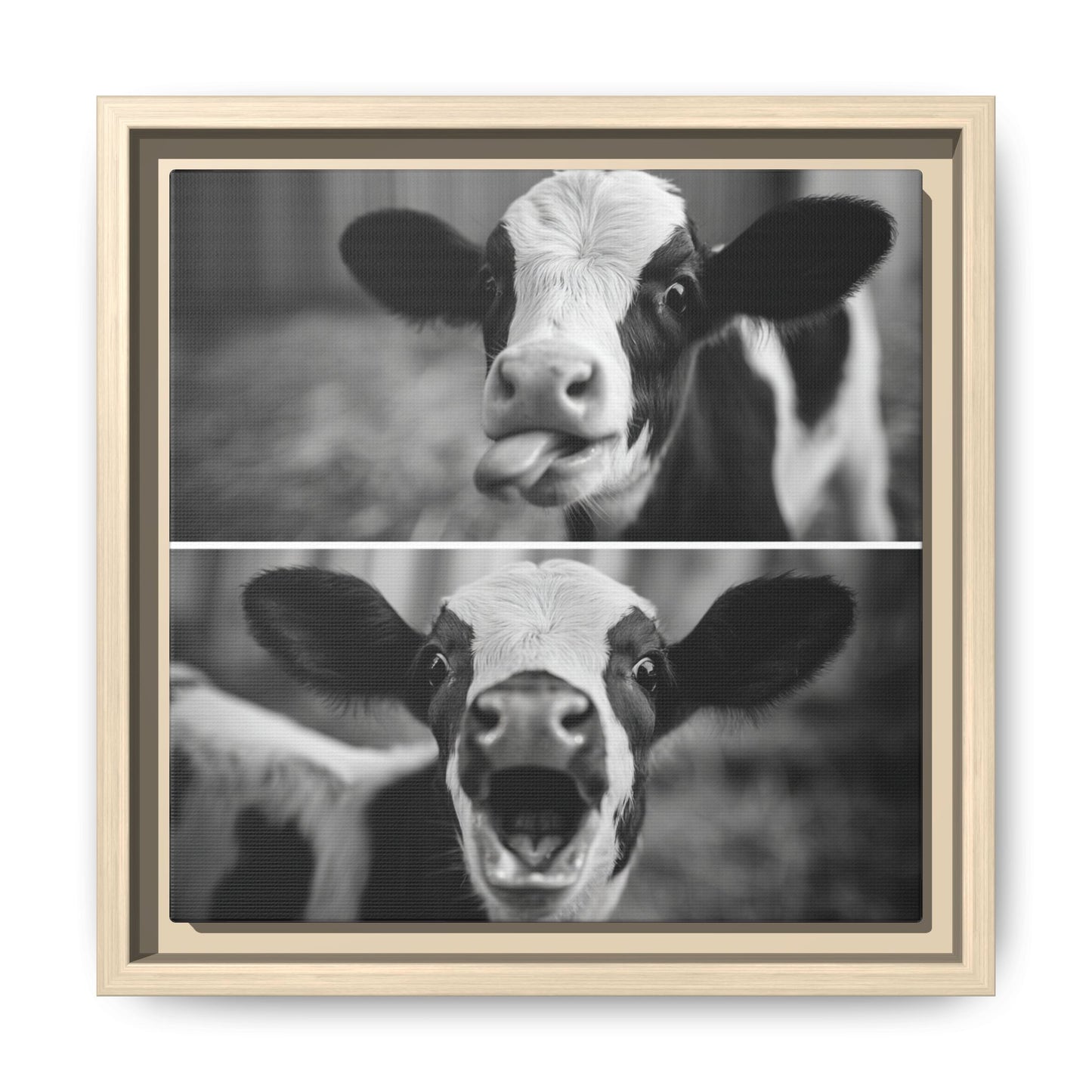 Whimsical Cow Photography | Black and White Animal Art