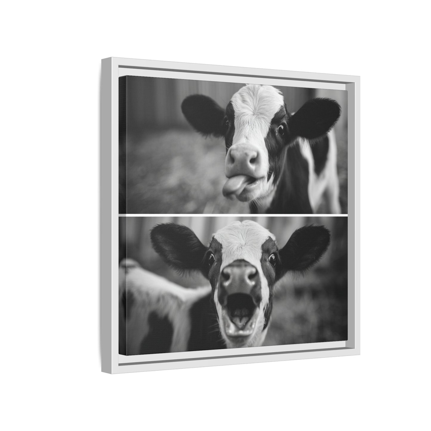 Whimsical Cow Photography | Black and White Animal Art