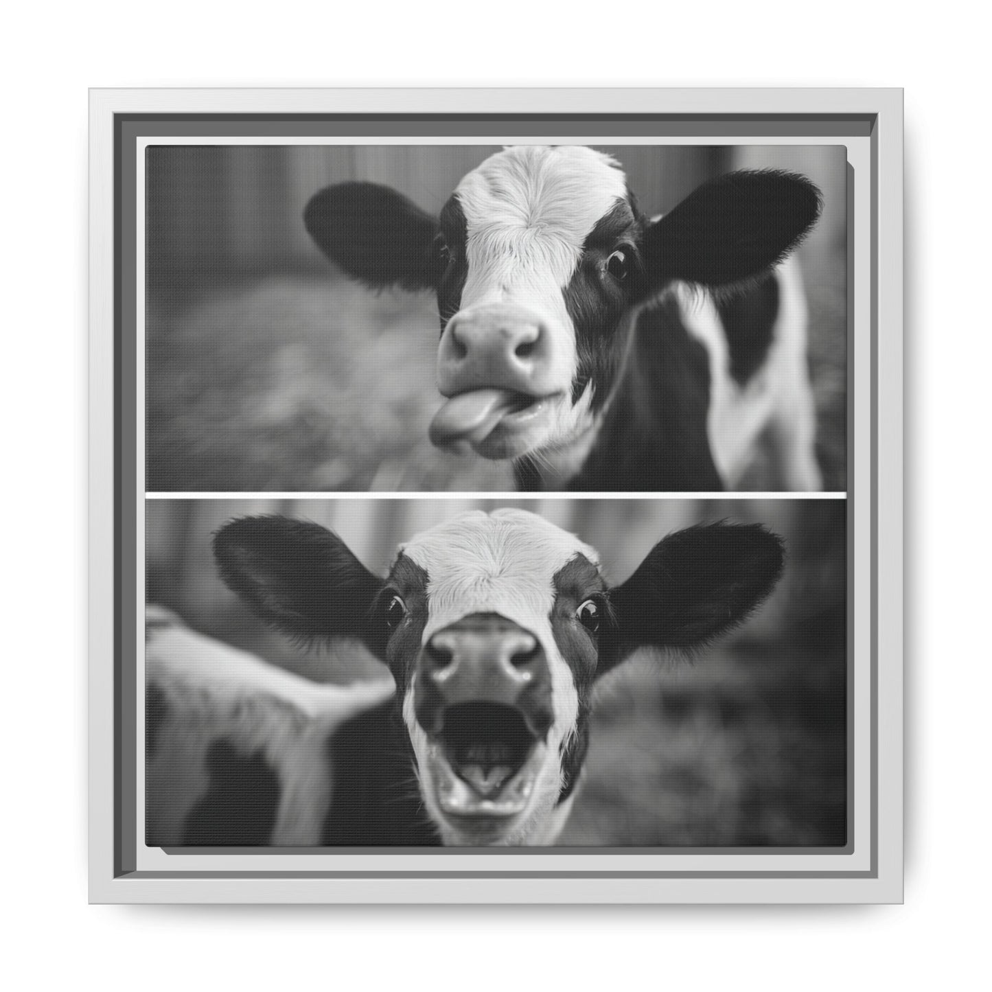 Whimsical Cow Photography | Black and White Animal Art