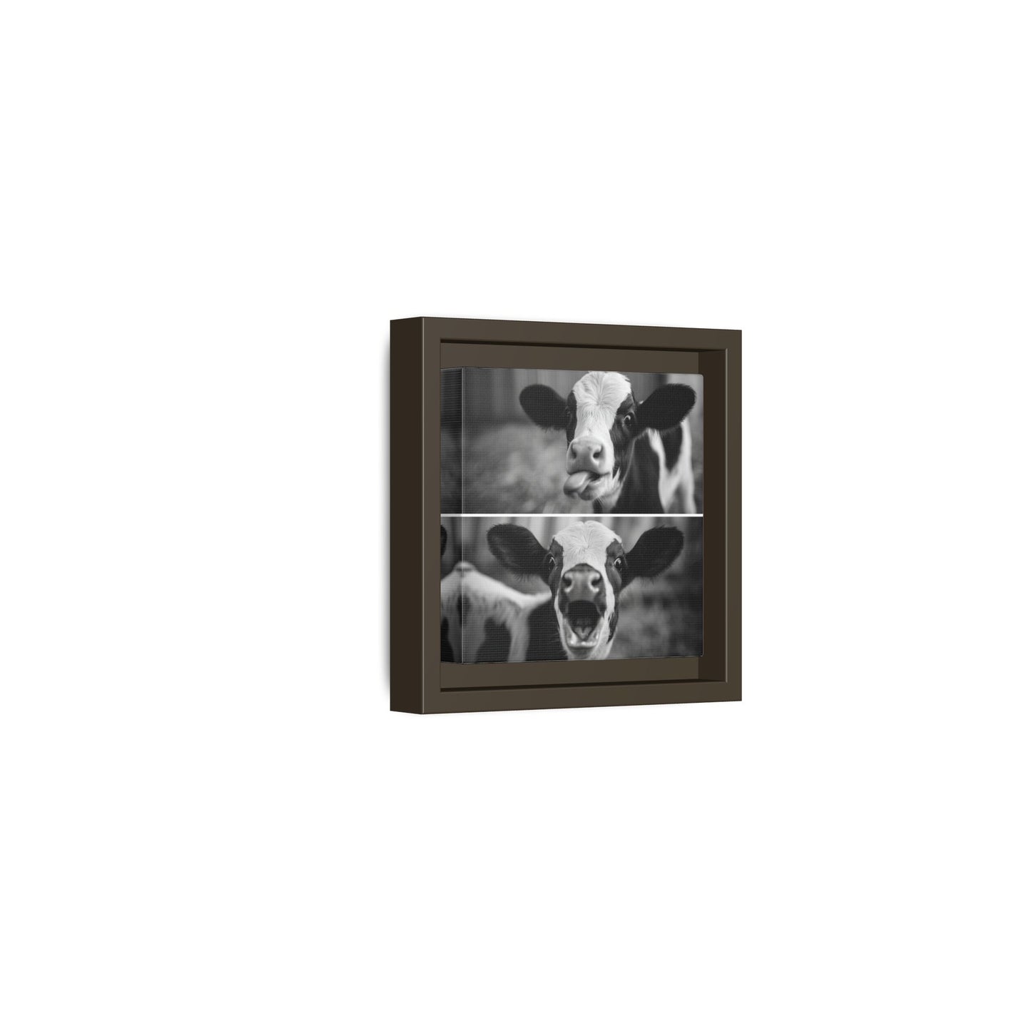 Whimsical Cow Photography | Black and White Animal Art