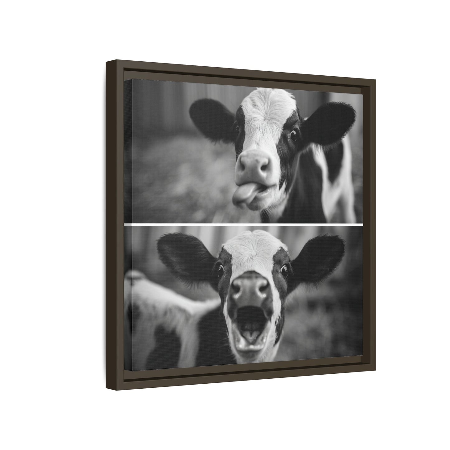 Whimsical Cow Photography | Black and White Animal Art