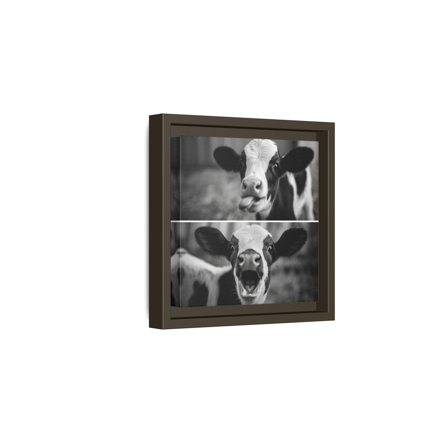 Whimsical Cow Photography | Black and White Animal Art