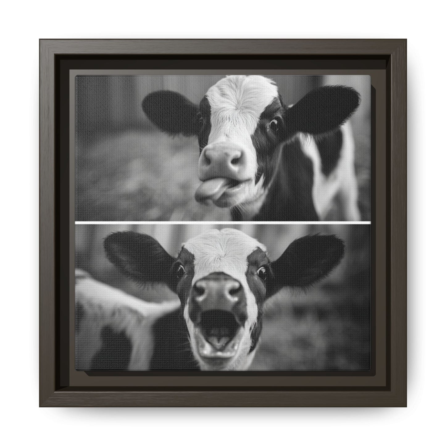 Whimsical Cow Photography | Black and White Animal Art
