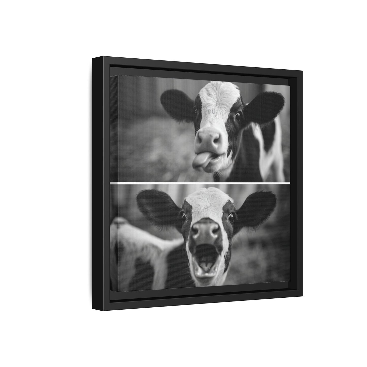Whimsical Cow Photography | Black and White Animal Art