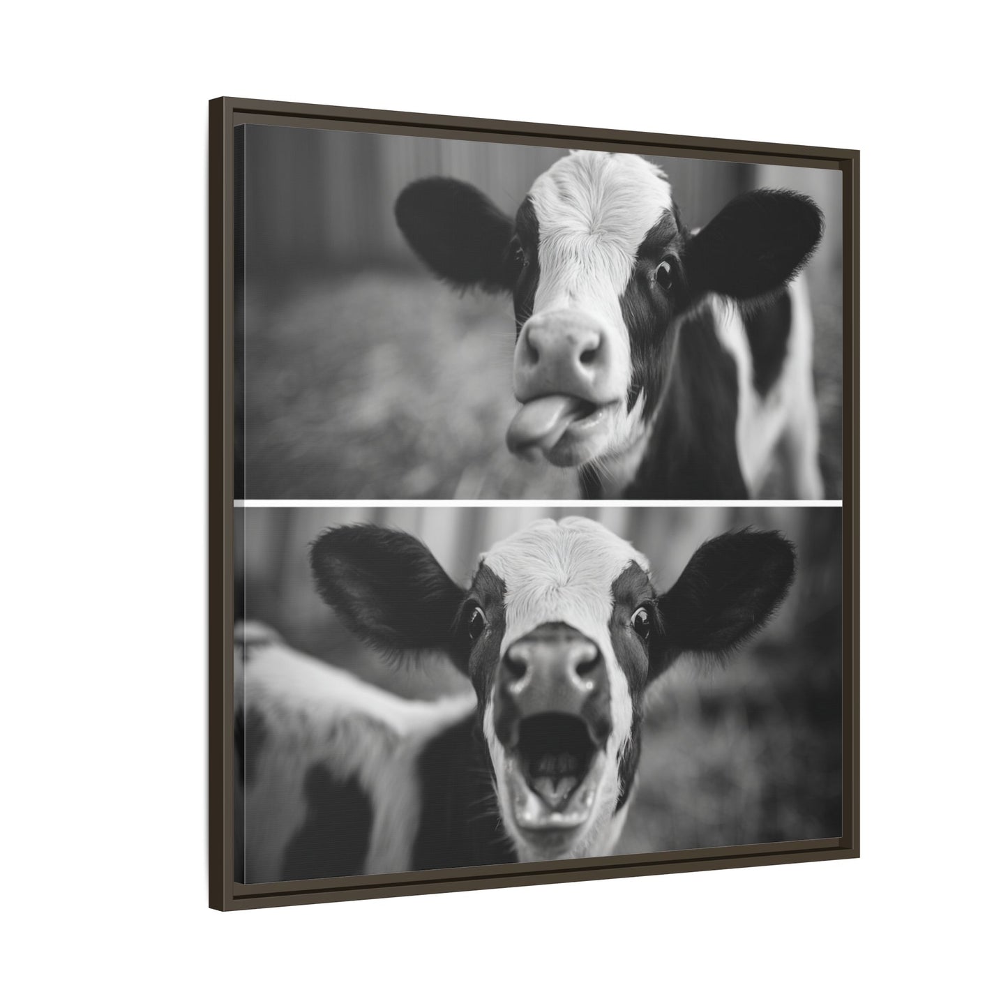 Whimsical Cow Photography | Black and White Animal Art