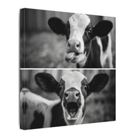 Whimsical Cow Photography | Black and White Animal Art