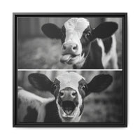 Whimsical Cow Photography | Black and White Animal Art