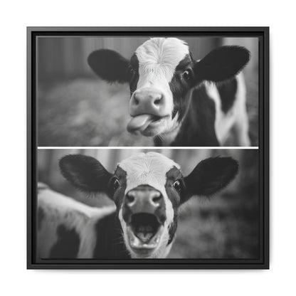 Whimsical Cow Photography | Black and White Animal Art