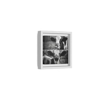 Whimsical Cow Photography | Black and White Animal Art