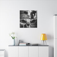Whimsical Cow Photography | Black and White Animal Art