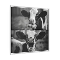 Whimsical Cow Photography | Black and White Animal Art