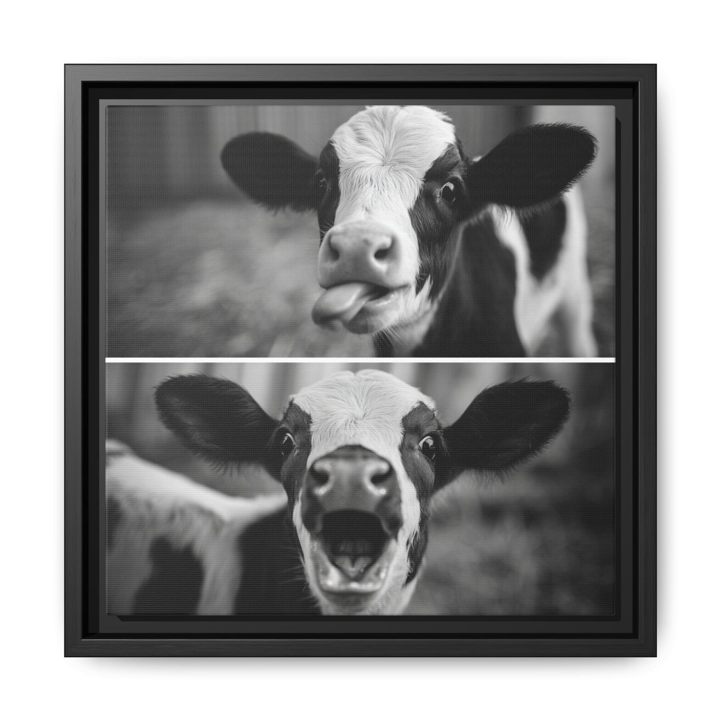 Whimsical Cow Photography | Black and White Animal Art