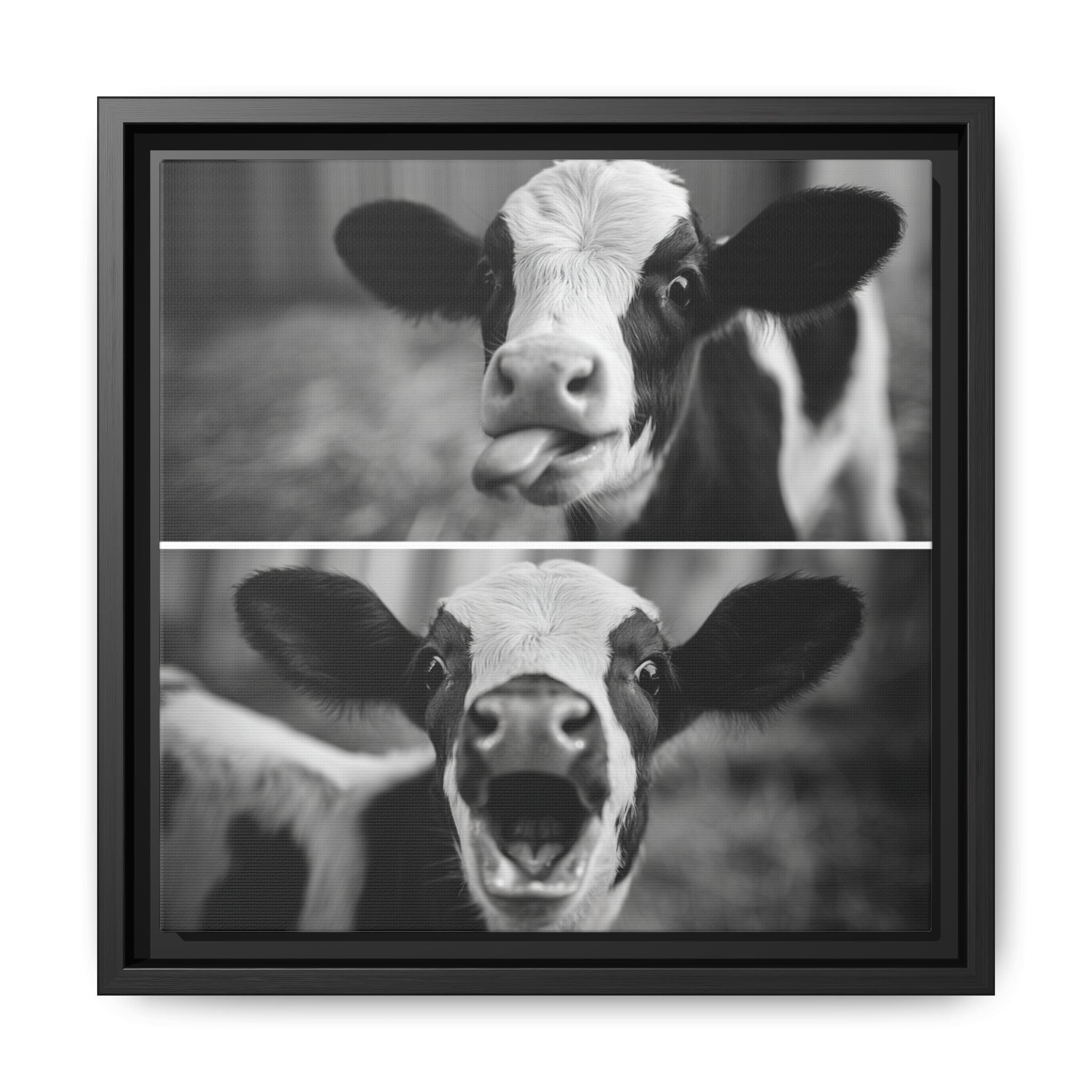 Whimsical Cow Photography | Black and White Animal Art
