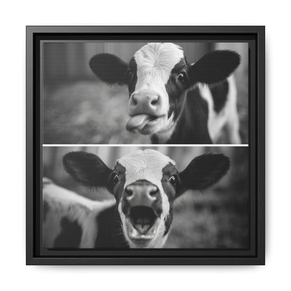 Whimsical Cow Photography | Black and White Animal Art