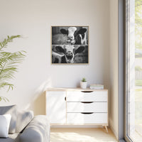 Whimsical Cow Photography | Black and White Animal Art