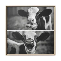 Whimsical Cow Photography | Black and White Animal Art