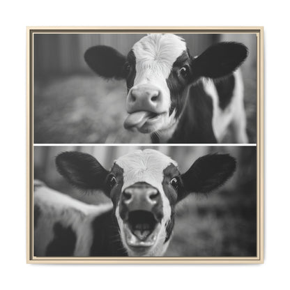 Whimsical Cow Photography | Black and White Animal Art