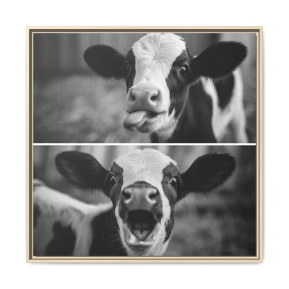 Whimsical Cow Photography | Black and White Animal Art
