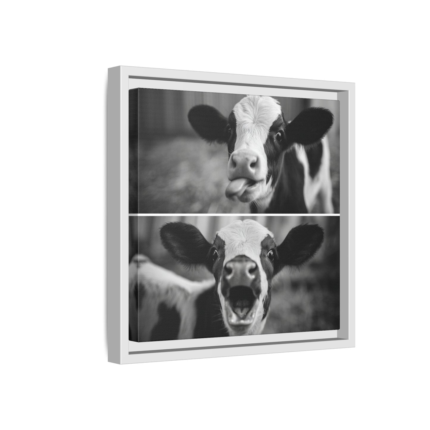 Whimsical Cow Photography | Black and White Animal Art