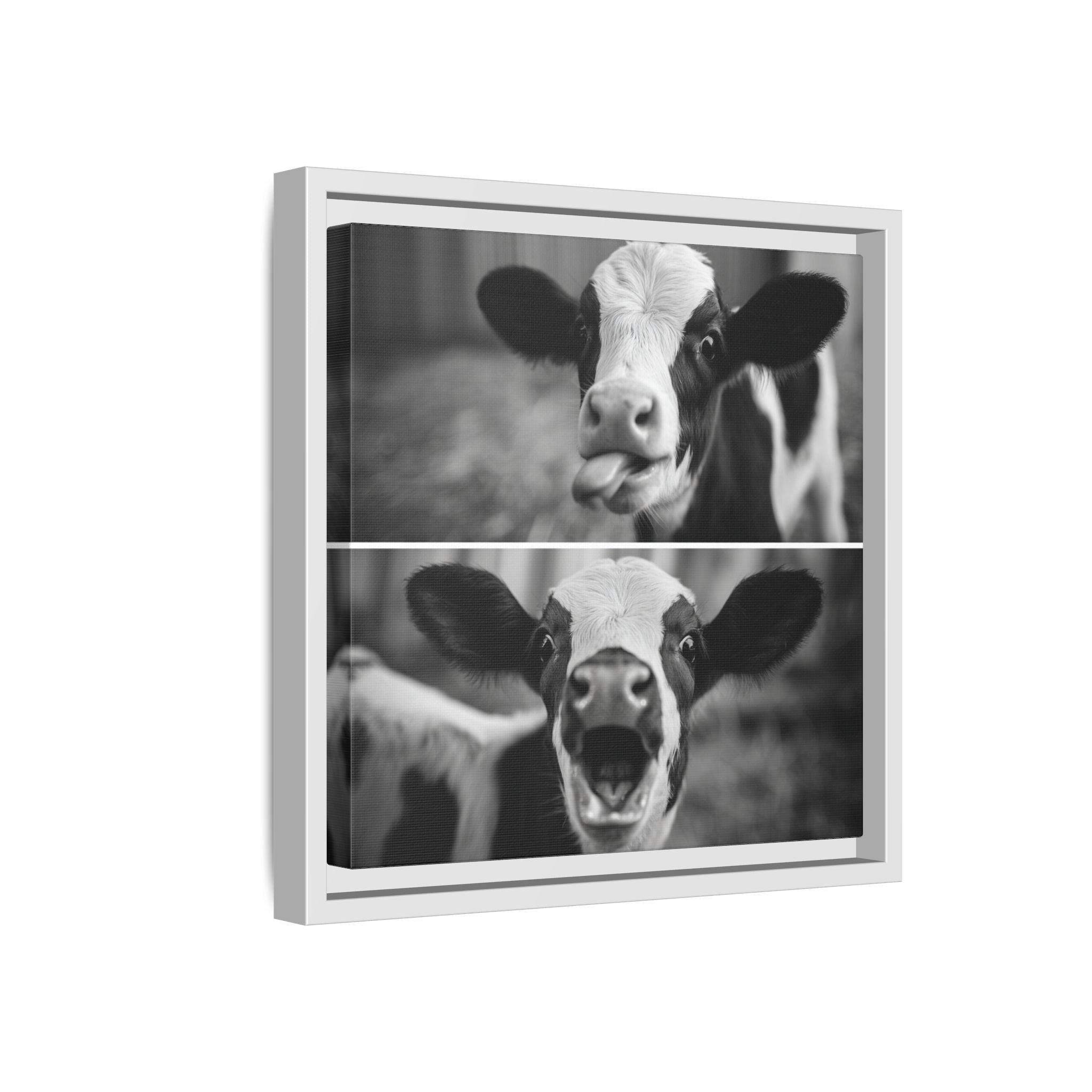Whimsical Cow Photography | Black and White Animal Art