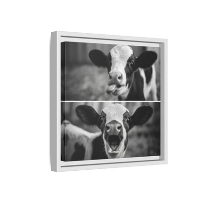Whimsical Cow Photography | Black and White Animal Art