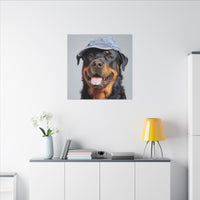 Whimsical Rottweiler Art - Denim Hat Dog Portrait