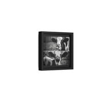 Whimsical Cow Photography | Black and White Animal Art