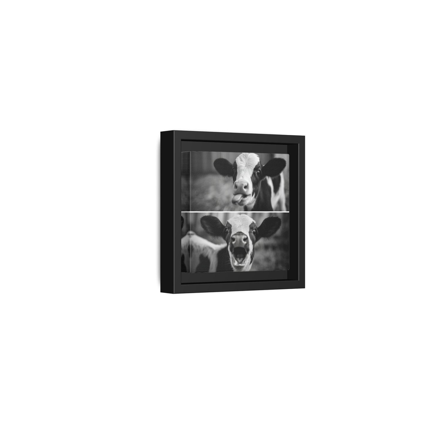 Whimsical Cow Photography | Black and White Animal Art