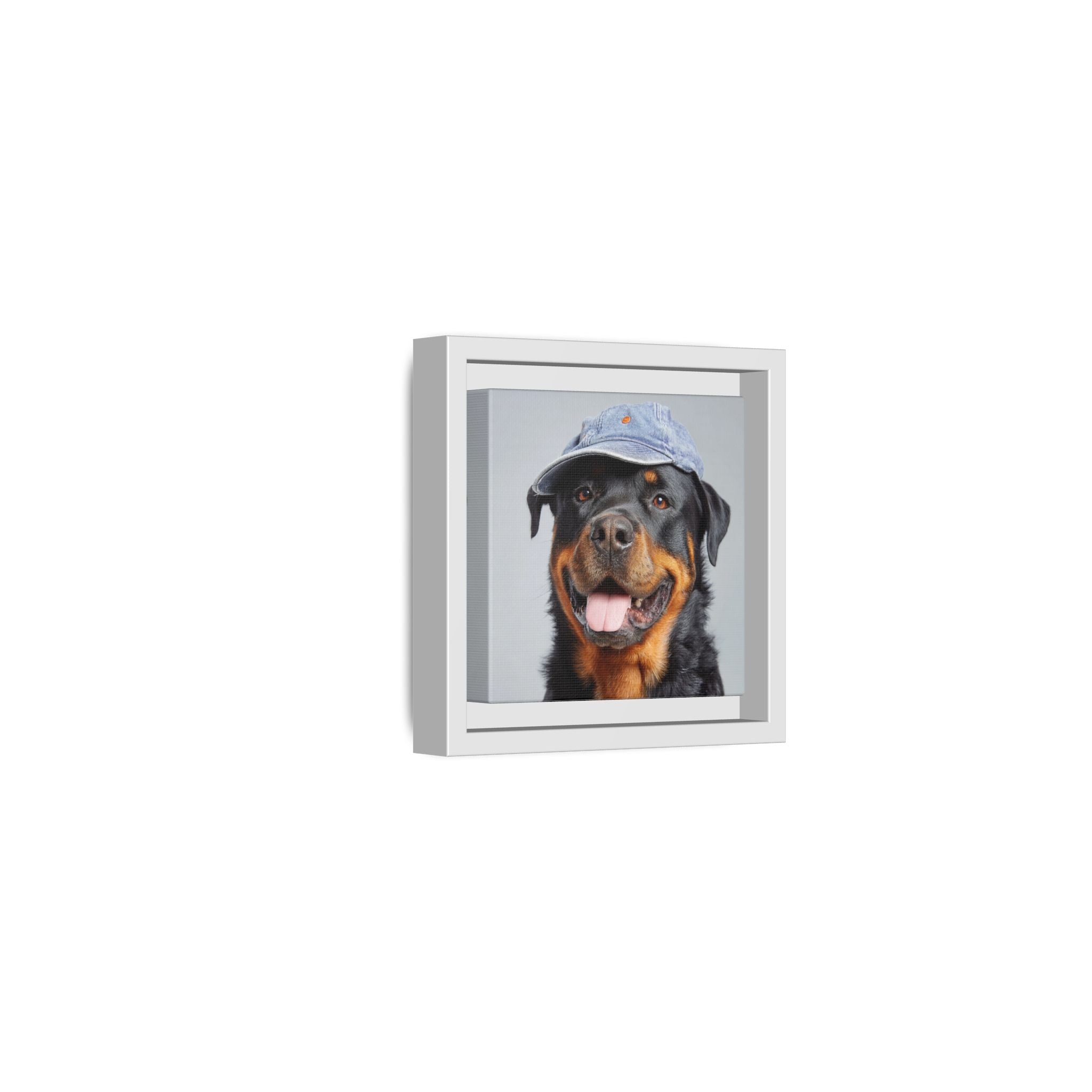 Whimsical Rottweiler Art - Denim Hat Dog Portrait