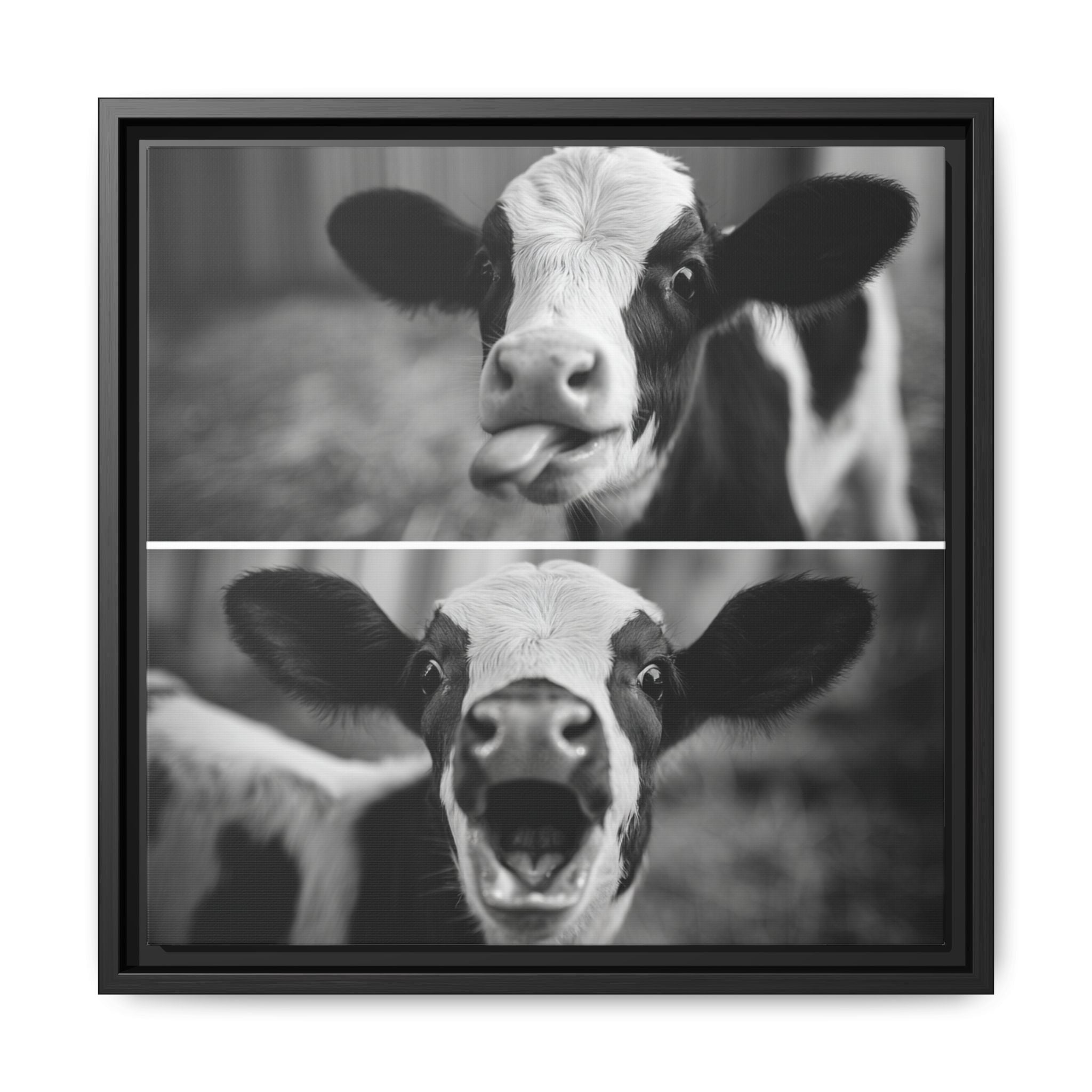 Whimsical Cow Photography | Black and White Animal Art