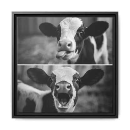 Whimsical Cow Photography | Black and White Animal Art