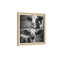 Whimsical Cow Photography | Black and White Animal Art