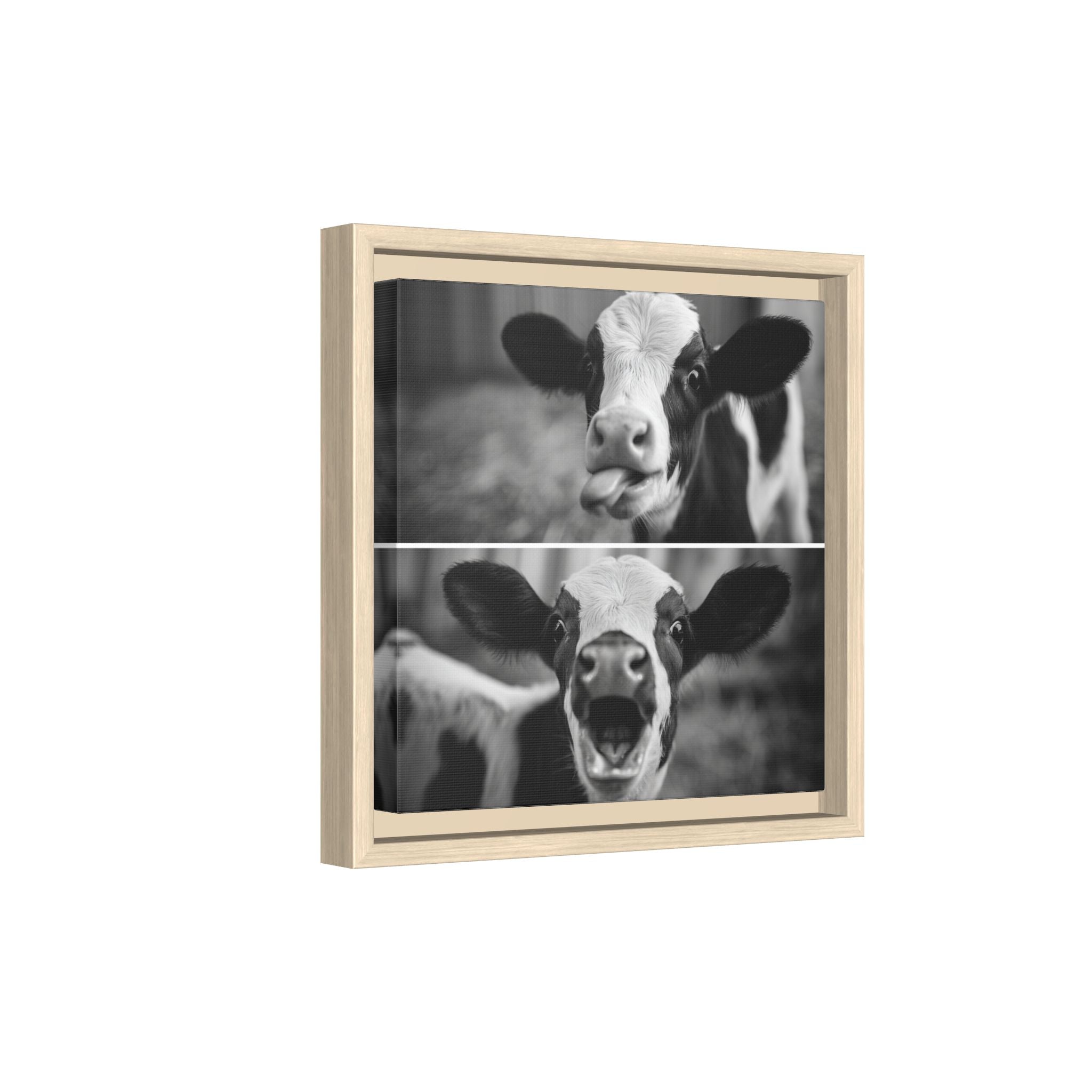 Whimsical Cow Photography | Black and White Animal Art