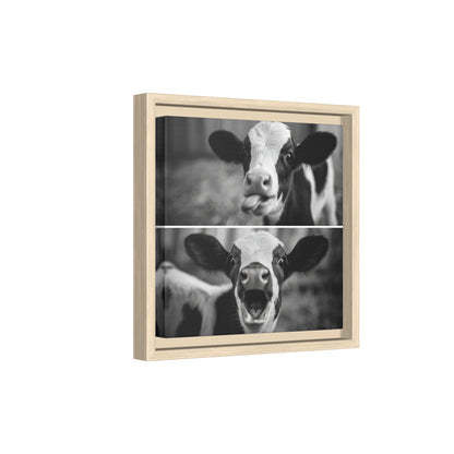 Whimsical Cow Photography | Black and White Animal Art